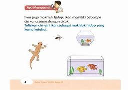 Ikan Mas Sekolah Sd Kelas 3